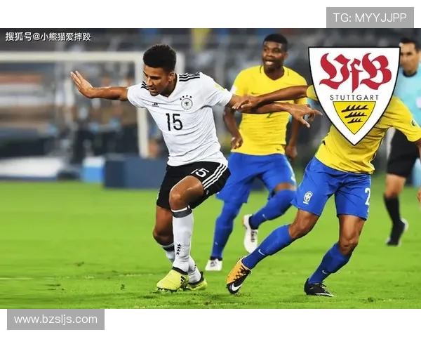 德国德甲降级球队的挑战与未来展望