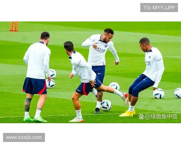 法甲外援在整个赛季中对球队成绩的关键影响因素研究